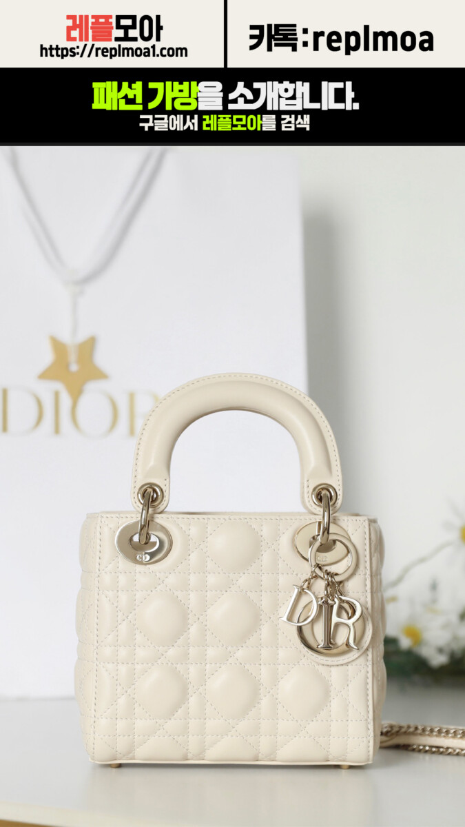 디올 레이디 미니백 M0505